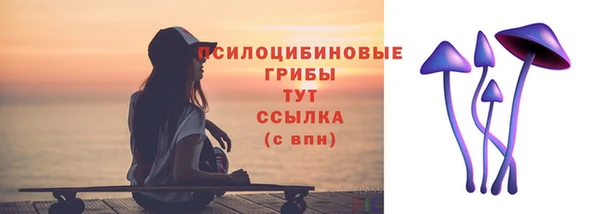 соль курить ск Няндома