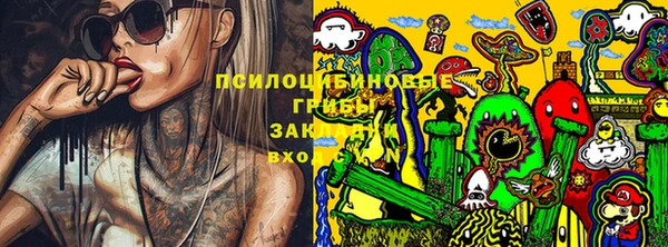 сатива Нязепетровск