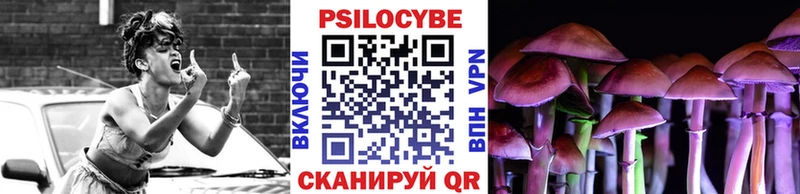 Галлюциногенные грибы Psilocybe  Купить где  Домодедово 